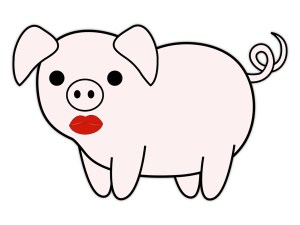 pig